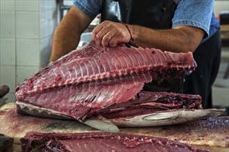 Tuna being cut up, fish hall, fish market, market hall Mercado dos Lavradores, Funchal, Madeira