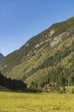 Agriculture, Alpine pasture in the Zillergrund valley, Zillertal Alps, Alpine pasture, mountain