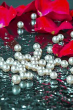 Pearl necklace in the water with splashes, drops and reflections, AI generated