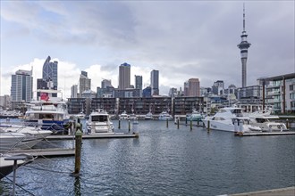 Viaduct Harbour, Auckland, New Zealand, Oceania