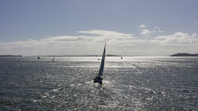 Ferry from Aukland to Waiheke, New Zealand, Oceania