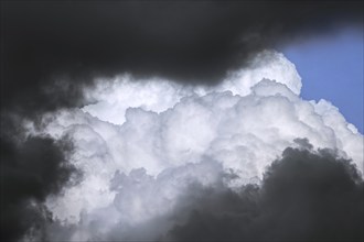 Dark threatening storm clouds and (cumulus) congestus cloud, towering cumulus developing in the sky