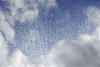 Cirrocumulus clouds against blue sky, Belgium, Europe