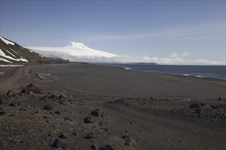 Black sand beach and snow covered Beerenberg volcano (2) (277m) on Jan Mayen, volcanic island in