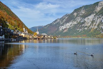 Austrian tourist destination Hallstatt village on Hallstatter See lake in Austrian alps with geese