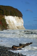 Chalk cliffs on the coast of Jasmund National Park, Rügen Island, Mecklenburg-Western Pomerania,