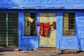 Vivid blue-painted house Jodphur the Blue City, Rajasthan, India, Asia