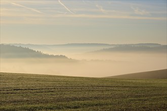 Landscape, Field, Valley, Forest, Fog, Morning, Altertheim, Würzburg, Bavaria, Germany, Europe