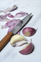 Fresh red garlic cloves with knife, France, Europe