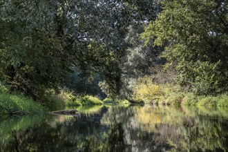 River landscape of the Thaya in late summer, Czech Republic, Europe