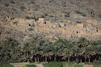 Abandoned houses of the historic settlement of Ghul at Jebel Shams, Oman, Asia