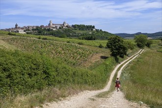 Hikers on the way to Vézelay, Yonne department, Bourgogne-Franche-Comté region, Burgundy, France,