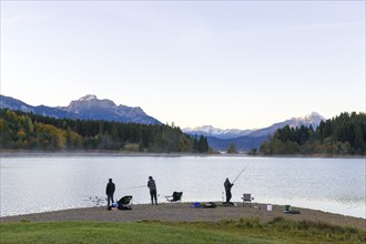 Angler at the Forggensee, Allgäu Alps, near Füssen, Ostallgäu, Bavaria, Germany, Europe