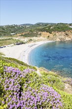 Xanemos beach holiday by the sea on the Mediterranean island of Skiathos, Greece, Europe