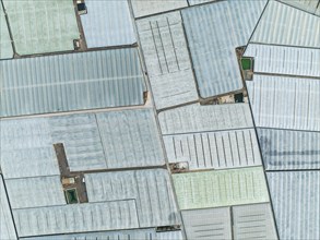 Masses of shimmering plastic greenhouses near El Ejido, aerial view, drone shot, Almería province,