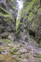 Hikers in the climbing area in the Nove Diery gorge, Terchová, Žilinský kraj, Slovakia, Europe