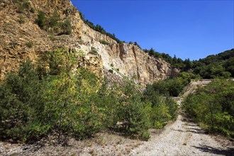 Disused Vatter porphyry quarry, Dossenheim, Baden-Württemberg, Germany, Europe