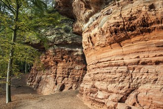 Old castle rock, red sandstone rock formation, natural and cultural monument, Brechenberg near