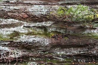 Eroded red sandstone, old castle rock, close-up, natural and cultural monument, Brechenberg near