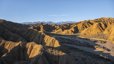 Canyon through a landscape of eroded hills at sunrise, Badlands, white mountain peaks of the Tian