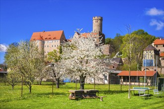 Gnandstein Castle is one of the best-preserved medieval knight's castles. It lies in the middle of