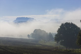 Königstein Fortress