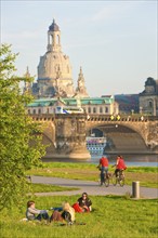 Dresden Elbe meadows in spring