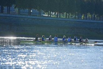 Rowing training on the Elbe in front of Dresden's Old Town