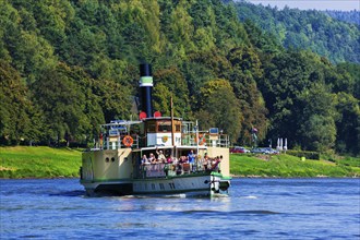 Elbe steamer Pirna in Wehlen