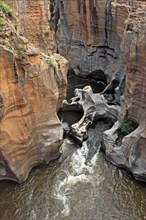 Blyde River Canyon, Pot Holes, Mpumalanga, South Africa, Africa