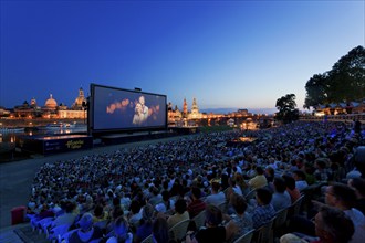 Film Nights on the banks of the Elbe