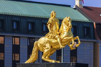 Golden Rider in Dresden