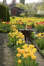 The allotment garden, also known as Schrebergarten, Heimgarten, Familiengarten (esp. in