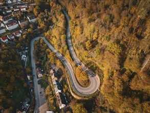 Aerial view S-curve in autumn, Calw, Black Forest Germany