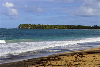 A tropical beach with palm trees in the background and blue ocean under a partly cloudy sky, Limon