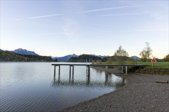 Steg am Forggensee, Allgäu Alps, near Füssen, Ostallgäu, Bavaria, Germany, Europe