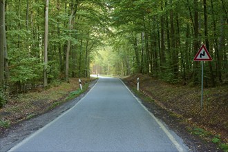 Road, deciduous forest, danger sign, double curve, morning, Buchen, Odenwald, Baden-Württemberg,