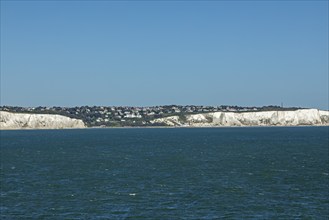 Chalk cliffs, cliffs, Dover, Kent, England, Great Britain