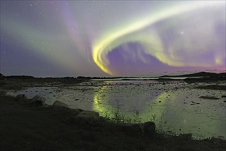 Northern lights (aurora borealis) reflected in the water, fjord at low tide, Offersöy, FV 17,