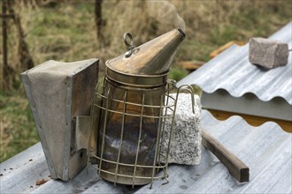 Smoker for calming honey bees (Apsi) in the beehive, Baden-Württemberg, Germany, Europe