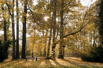 The Great Garden was laid out from 1676 for the Elector Prince and later Elector Johann Georg III