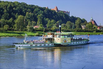 Elbe steamer Pirna in front of Pirna Pirna is a large district town and the administrative centre