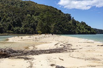 Abel Tasman Coast Track, Apple Tree Bay, Beach, Kaiteriteri, New Zealand, Oceania