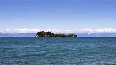 Abel Tasman Coast Track, Apple-Tree-Bay, Kaiteriteri, New Zealand, Oceania