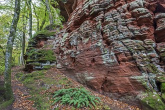 Old castle rock, red sandstone rock formation, natural and cultural monument, Brechenberg near