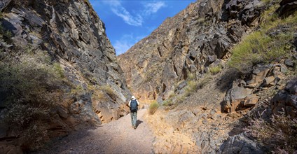 Mountaineer in a canyon with a dry stream bed, eroded mountain landscape with red sandstone rocks,