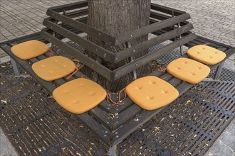 Yellow seat cushions on a park bench, Nuremberg, Middle Franconia, Bavaria, Germany, Europe