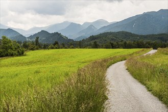 Flower meadow and mountains, near Montbrun-les-Bains, Plus beaux villages de France, Département