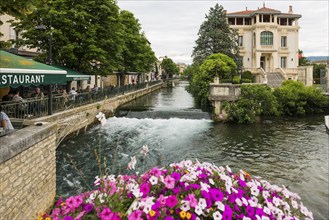 L'Isle-sur-la-Sorgue, Département Vaucluse, Provence, Provence-Alpes-Côte d'Azur, France, Europe