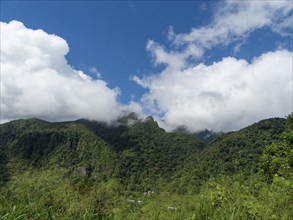 Knuckles Mountains, Meemure, Sri Lanka, Asia